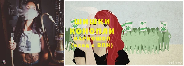 индика Балабаново