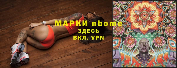 индика Балабаново