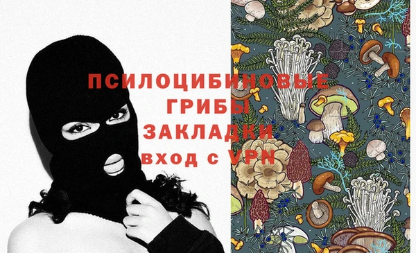 ГАЛЛЮЦИНОГЕННЫЕ ГРИБЫ Баксан