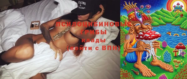 ГАЛЛЮЦИНОГЕННЫЕ ГРИБЫ Баксан