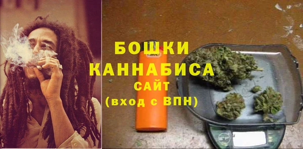 индика Балабаново
