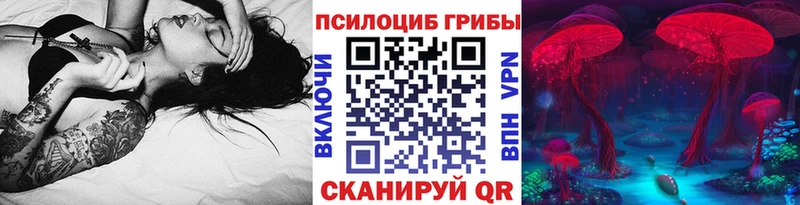 купить наркотики сайты  Котельниково  МЕГА tor  Псилоцибиновые грибы Cubensis 